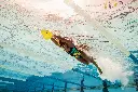 1.05.042 Image Usage 23.webp