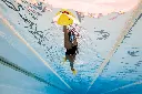 1.05.042-Image-Usage-36.webp
