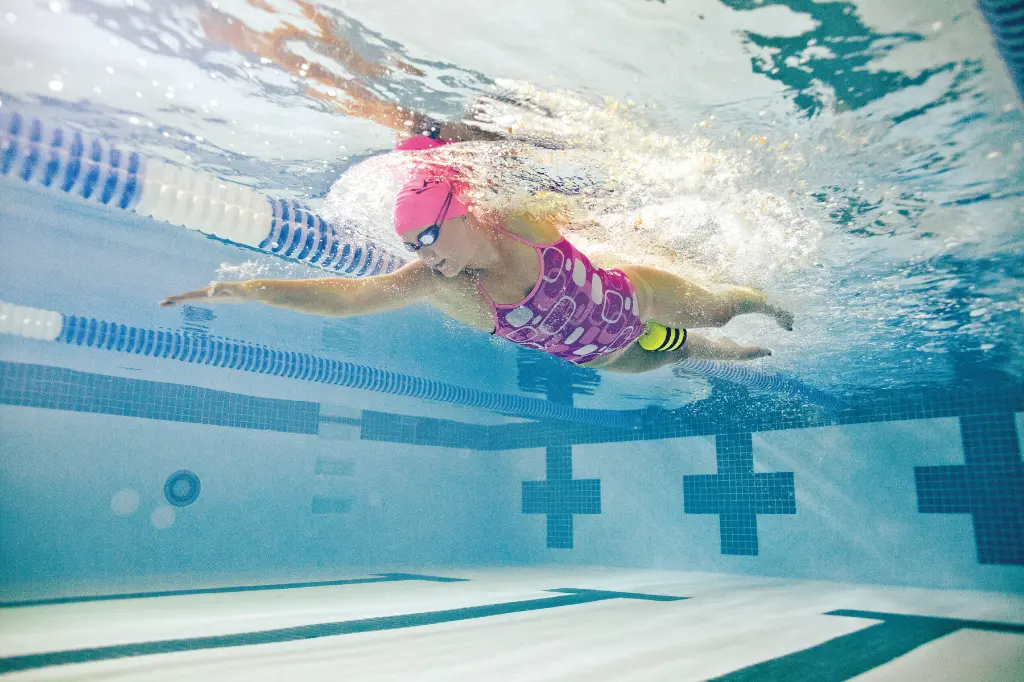 1.05.036 Image Usage 1.webp